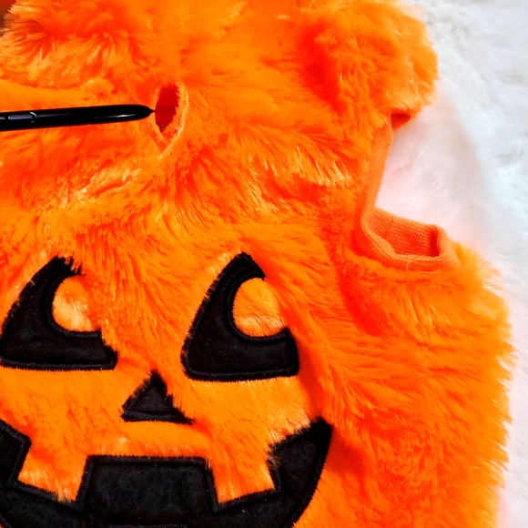 DOG HALLOWEEN PUMPKIN ๐ COSTUME BY WAGBY - Picture 5 of 11